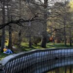 bucurestenii sunt intrebati cum vor sa arate parcul herastrau care va intra in reparatii capitale exista chestionar unde poti sa spui ce crezi si cum vezi transformarea 6a100771a334c