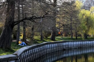 bucurestenii sunt intrebati cum vor sa arate parcul herastrau care va intra in reparatii capitale exista chestionar unde poti sa spui ce crezi si cum vezi transformarea 6a100771a334c