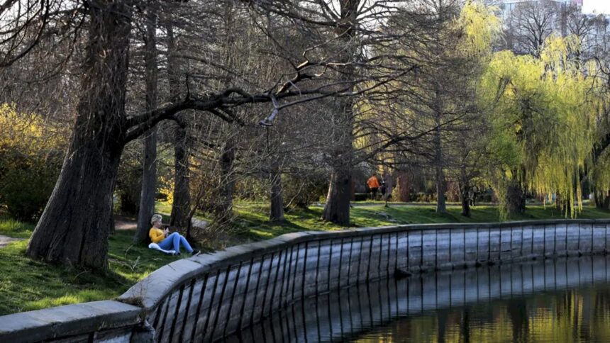 bucurestenii sunt intrebati cum vor sa arate parcul herastrau care va intra in reparatii capitale exista chestionar unde poti sa spui ce crezi si cum vezi transformarea 6a100771a334c