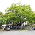 bucuresti stiri mici oras mare 6a19096f76c40