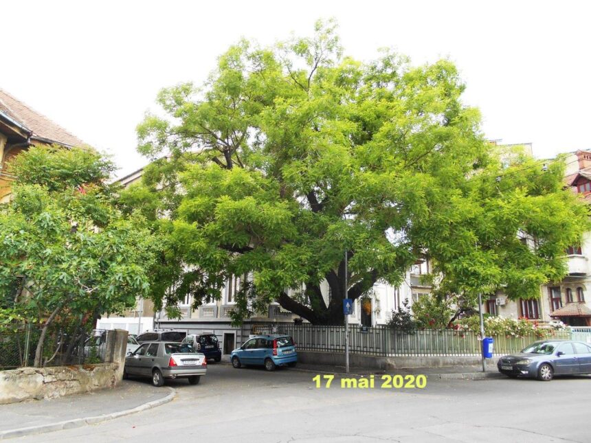 bucuresti stiri mici oras mare 6a19096f76c40