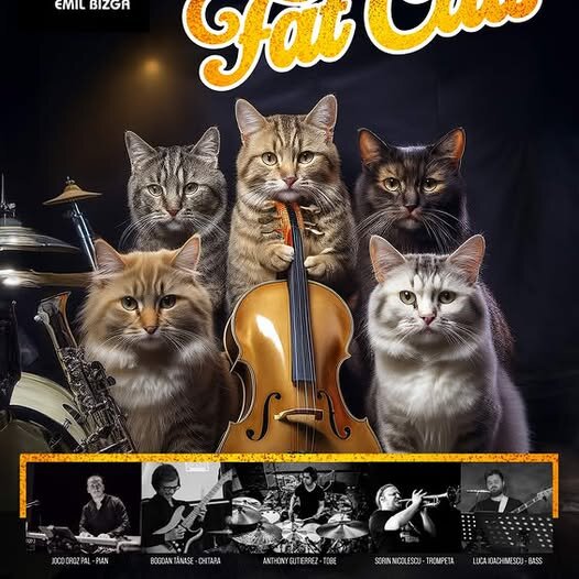 concert the fat cats 6a0ea71d69bbe