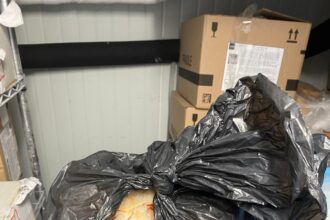 foto peste expirat si alimente tinute in saci menajeri la british school of bucharest inspectorii ansvsa au inchis cantina scolii si au dat amenzi 6a0f266c5eccd
