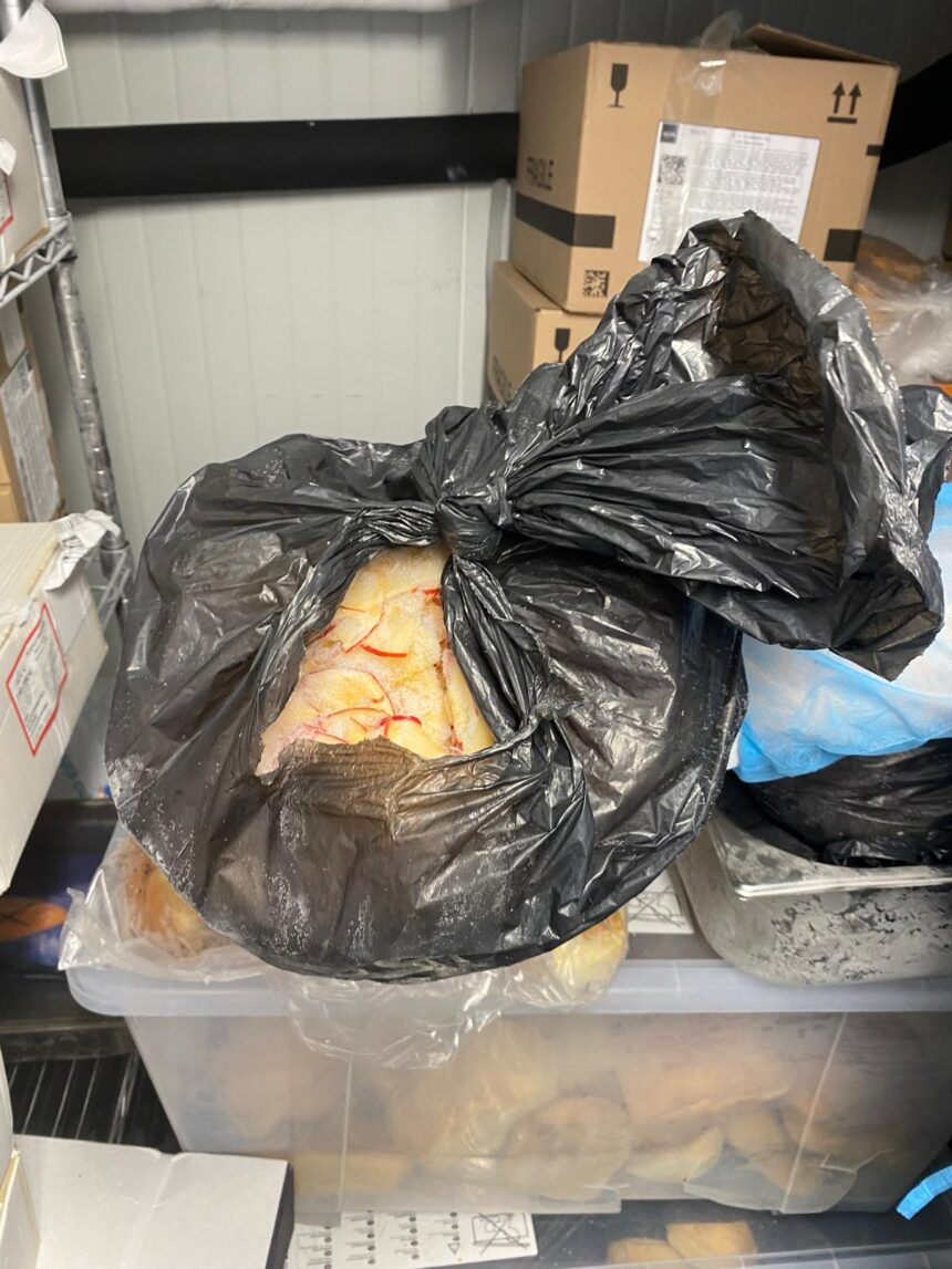 foto peste expirat si alimente tinute in saci menajeri la british school of bucharest inspectorii ansvsa au inchis cantina scolii si au dat amenzi 6a0f266c5eccd