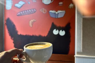 pisicul ghiftuit de citit se ascunde in cotroceni iar casa lui poarta numele la petite bouffe bien sur avec du cafef09f988d 6a0ea665d5da7