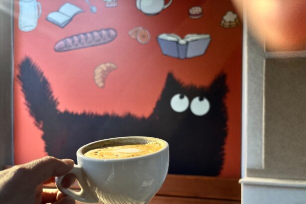 pisicul ghiftuit de citit se ascunde in cotroceni iar casa lui poarta numele la petite bouffe bien sur avec du cafef09f988d 6a0ea665d5da7
