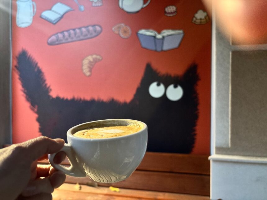 pisicul ghiftuit de citit se ascunde in cotroceni iar casa lui poarta numele la petite bouffe bien sur avec du cafef09f988d 6a0ea665d5da7