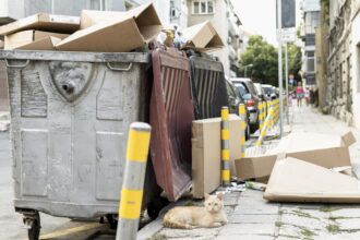 ce trebuie sa stie bucurestenii din sectorul 1 despre relatia cu noul operator de salubrizare blue planet programul de ridicare a gunoiului e acelasi pubelele nu se schimba ac651c42 1