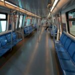 cum au ratat plosnitele intrarea in lista de ganganii oribile care trebuie vanate la metrou in contractul de dezinsectie al metrorex sunt tot felul de gandacei nu si ele 6a33ed638e25d