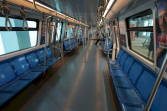 cum au ratat plosnitele intrarea in lista de ganganii oribile care trebuie vanate la metrou in contractul de dezinsectie al metrorex sunt tot felul de gandacei nu si ele 6a33ed638e25d