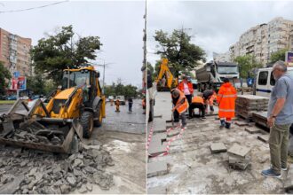 foto ciprian ciucu scoate masinile de pe trotuarele de pe bd 13 septembrie reface spatiul verde devenit parcare si planteaza arbori bucuresteni unde puneti masinile 6a2c2ef04e5b3