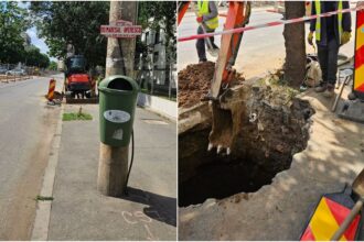 foto mesajul pentru dl ciucu de pe mihalache cand reveniti din singapore sa promovati si bune practici pe santiere inclusiv masuri de protejare a radacinilor arborilor 6a324781977d1