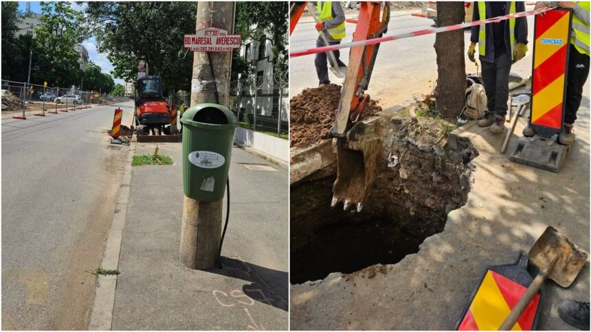 foto mesajul pentru dl ciucu de pe mihalache cand reveniti din singapore sa promovati si bune practici pe santiere inclusiv masuri de protejare a radacinilor arborilor 6a324781977d1