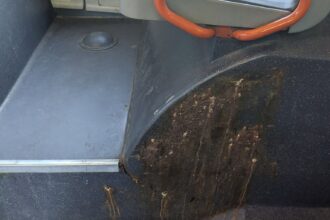 foto platesti bilet primesti cotet cat de mizerabil poate sa arate un autobuz stb de pe linia 117 la prima ora a diminetii un autobuz care arata ca dupa o petrecere cu porci 6a3585547cbb8
