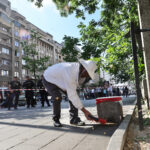 foto roi de albine la piata romana capturat de un apicultor in parcul floreasca tocmai a aparut altul e plin sezonul roirii in bucuresti 6a203bd964e3d