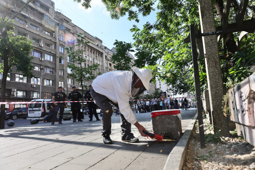 foto roi de albine la piata romana capturat de un apicultor in parcul floreasca tocmai a aparut altul e plin sezonul roirii in bucuresti 6a203bd964e3d