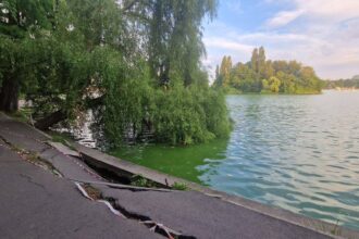 foto se goleste lacul din parcul herastrau ratele si pestii de aici vor fi mutati malurile vor fi reabilitate facem lucrari care sa reziste 100 de ani a promis ciucu 6a1e79dc505b1