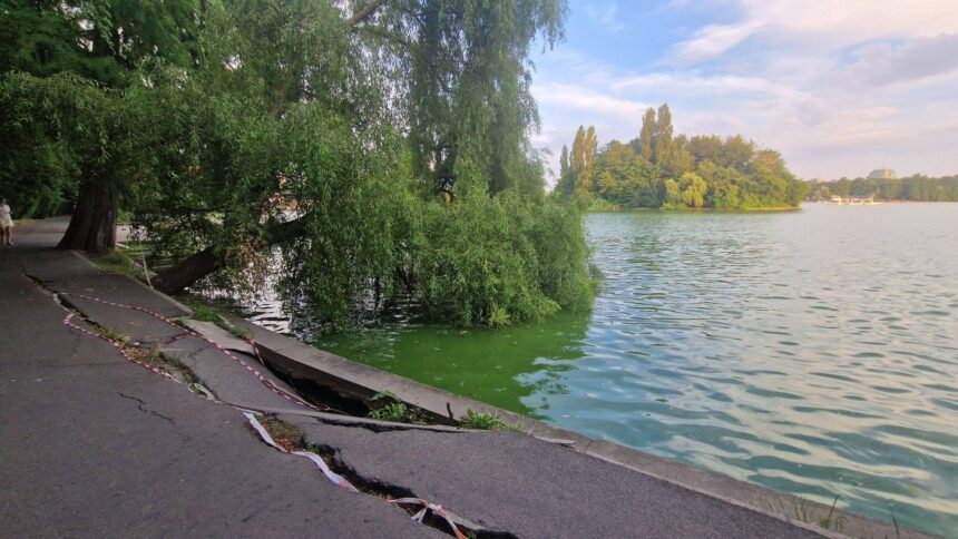 foto se goleste lacul din parcul herastrau ratele si pestii de aici vor fi mutati malurile vor fi reabilitate facem lucrari care sa reziste 100 de ani a promis ciucu 6a1e79dc505b1