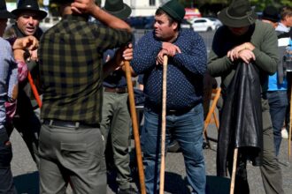 5 000 de oieri vin la bucuresti furiosi ca exportul de ovine e blocat de mai mult de o luna manifestantii se aduna in piata presei de unde pleaca spre piata victoriei 6a675803ddb3f