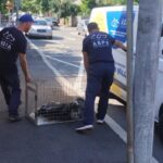 aspa bucuresti angajeaza sef serviciu interventii si sofer cv urile se depun pana pe 17 iulie 6a4d162921e1d