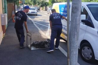 aspa bucuresti angajeaza sef serviciu interventii si sofer cv urile se depun pana pe 17 iulie 6a4d162921e1d