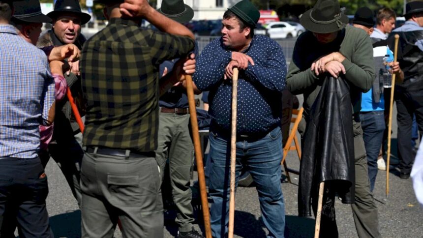 breaking imbranceli cu jandarmii si gaze lacrimogene la protestul din bucuresti al oierilor mii de ferrmieri s au adunat in fata la ansvsa vor porni apoi spre piata victoriei 6a6af801d1f9b