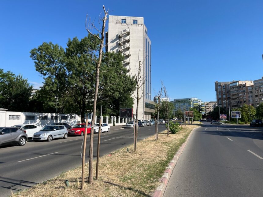 bucuresti stiri mici oras mare 6a5359279572c