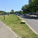 foto pajistea experimentala de pe splaiul unirii tunsa fara autorizatie de totul verde asociatia parcul natural bucuresti am trimis scrisori oficiale tot n am reusit sa oprim motocoasel 5c68589a