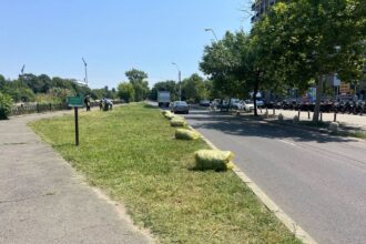 foto pajistea experimentala de pe splaiul unirii tunsa fara autorizatie de totul verde asociatia parcul natural bucuresti am trimis scrisori oficiale tot n am reusit sa oprim motocoasel 5c68589a
