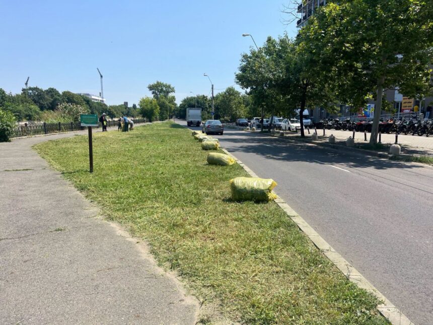foto pajistea experimentala de pe splaiul unirii tunsa fara autorizatie de totul verde asociatia parcul natural bucuresti am trimis scrisori oficiale tot n am reusit sa oprim motocoasel 5c68589a
