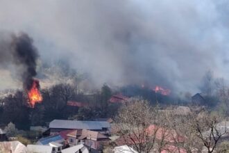 guvernul aloca noi ajutoare pentru persoanele afectate de incendiul din soveja vrancea procedura simplificata si despagubiri de pana la 90 din valoarea caselor 6a4f831943b7c
