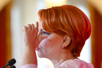 lia olguta vasilescu daca s ar da mandatul psd ar reusi sa obtina voturile 6a5688e3c72ff