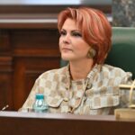lia olguta vasilescu despre anticipate nu stiu cati parlamentari au interesul sa voteze 6a569df1b773d