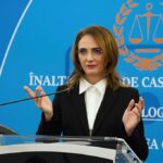lia savonea castiga la ccr pe modificarea codului de procedura penala decizie luata in unanimitate 6a57597108462