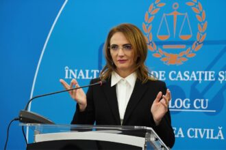 lia savonea castiga la ccr pe modificarea codului de procedura penala decizie luata in unanimitate 6a57597108462