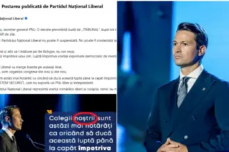 limba romana a doua victima la pnl cum s au inecat liberalii in i uri dupa esecul din instanta 6a4f5b1e13bd8