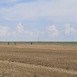 mapn resturi de drona si de racheta interceptoare descoperite in buzau si braila 6a63a50bba43d