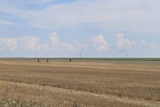 mapn resturi de drona si de racheta interceptoare descoperite in buzau si braila 6a63a50bba43d