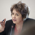 niculina stelea aur in contextul dezastrului de la ancpi parlamentul sa prelungeasca urgent regimul tranzitoriu privind cota redusa de tva 6a5dcb5335a29