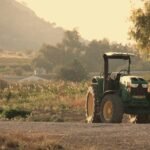 o schimbare a dietei la nivel global ar putea reduce drastic poluarea si salva milioane de vieti cercetatorii atrag atentia asupra agriculturii 6a622babc6f92