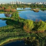 pas inainte pentru centura verde a capitalei unde vor fi 250 de hectare de paduri periurbane zone umede si culoare ecologice strategia este in dezbatere publica 6a4d325382120