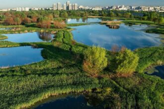 pas inainte pentru centura verde a capitalei unde vor fi 250 de hectare de paduri periurbane zone umede si culoare ecologice strategia este in dezbatere publica 6a4d325382120