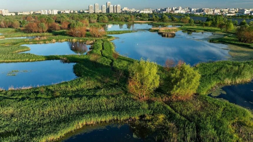 pas inainte pentru centura verde a capitalei unde vor fi 250 de hectare de paduri periurbane zone umede si culoare ecologice strategia este in dezbatere publica 6a4d325382120