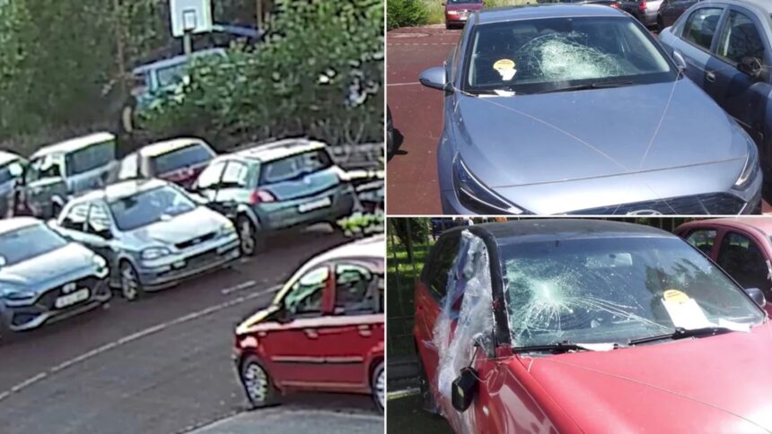video doi adolescenti pusi sub control judiciar dupa ce au distrus 10 masini din sectorul 4 big brother ul lui baluta i a surprins in timp ce le vandalizau 6a4e2f628cc02