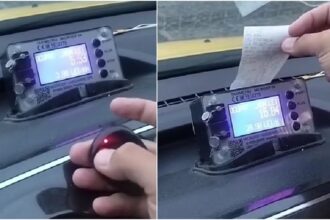 video politia locala a capitalei a descoperit maimuta folosita de unii soferi de taxi din bucuresti mergeti la gara de nord aia nu au maimute au urangutani 6a648ad3229fa