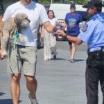 foto cod galben de canicula in bucuresti politistii locali impart peste 2 000 de sticle cu apa pe strazi 6a8afb03d09fe