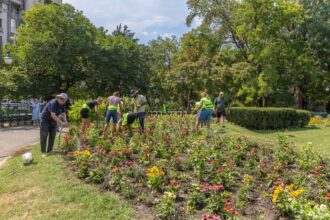 foto peste 1 000 de flori noi au fost plantate in parcul cismigiu despre multe dintre ele pmb spune ca traiesc cu anii si ofera frumusete de la un sezon la altul 6a8d3b94b7b0a