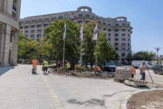 foto un trotuar de pe bd natiunile unite este gata echipele pmb au instalat si un sistem de irigatii pentru plante copaci si flori 6a847195d6635