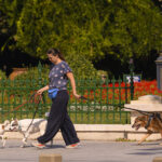 noi politici implementate prin codul urbanismului mai multe spatii verzi conditii mai bune pentru pietoni si biciclisti 6a86c9581397e