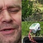 primarul ciucu striga in noapte sabotaj la sala palatului au disparut baterii ale sistemului de irigatii s au uscat floricele si are doua scenarii furt sau mana criminala 6a83f3734c43f